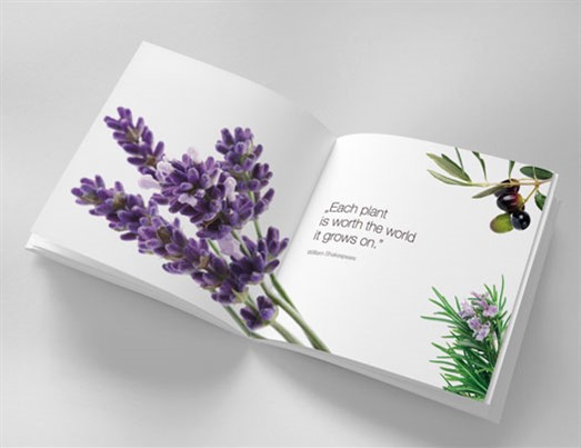 Catalogue 01
